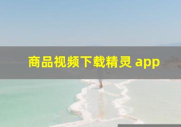 商品视频下载精灵 app